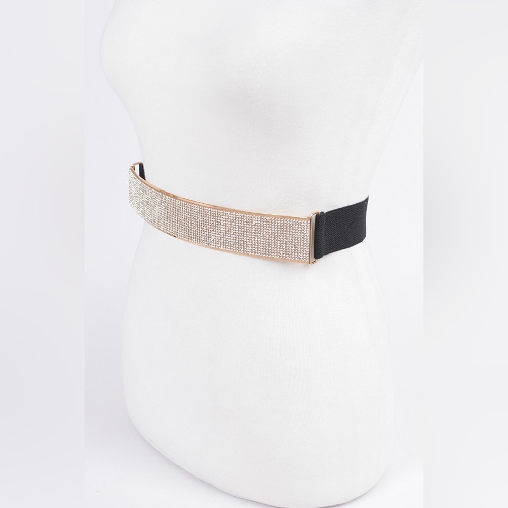 Rhinestone Metallic Plaque Elastic Statement Belt - Picture 4 of 7